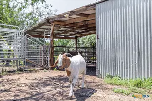 122 Homestead Dr, Gatesville, TX 76528 - Photo 19