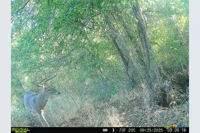 0000 East Gillis Street, Cameron, TX 76520 - Photo 3