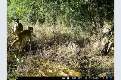 0000 East Gillis Street, Cameron, TX 76520 - Photo 33