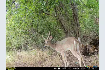 0000 East Gillis Street, Cameron, TX 76520 - Photo 31