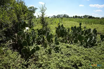 0000 East Gillis Street, Cameron, TX 76520 - Photo 17