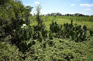 0000 East Gillis St, Cameron, TX 76520 - Photo 17