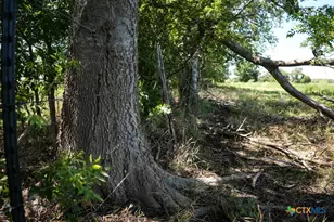 0000 East Gillis St, Cameron, TX 76520 - Photo 13