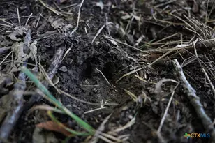 0000 East Gillis St, Cameron, TX 76520 - Photo 29