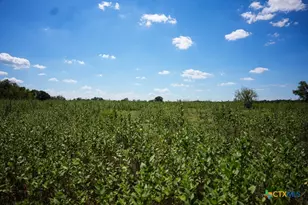 0000 East Gillis St, Cameron, TX 76520 - Photo 21