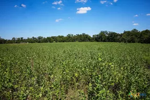 0000 East Gillis St, Cameron, TX 76520 - Photo 11