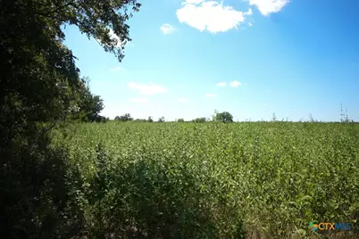 0000 East Gillis Street, Cameron, TX 76520 - Photo 19