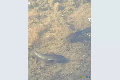 19707 Fm 485, Burlington, TX 76519 - Photo 31