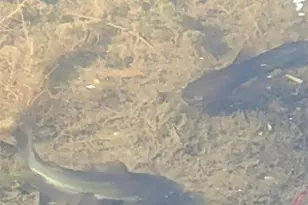 19707 FM 485, Burlington, TX 76519 - Photo 31