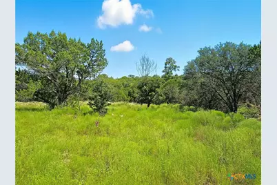 Tbd-176 Acres Fm 116 Road, Gatesville, TX 76528 - Photo 9