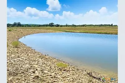 Tbd-176 Acres Fm 116 Road, Gatesville, TX 76528 - Photo 5