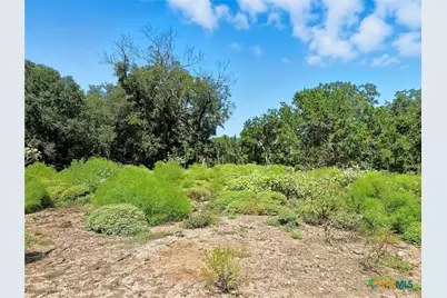 Tbd-176 Acres Fm 116 Road, Gatesville, TX 76528 - Photo 11