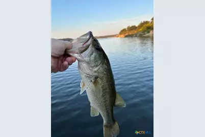 3343 Bob White Lane, Belton, TX 76513 - Photo 37