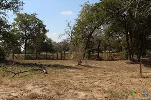 222 Oak Valley, La Vernia, TX 78121 - Photo 9