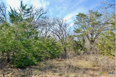 1485 Davis Road, Flatonia, TX 78949 - Photo 23