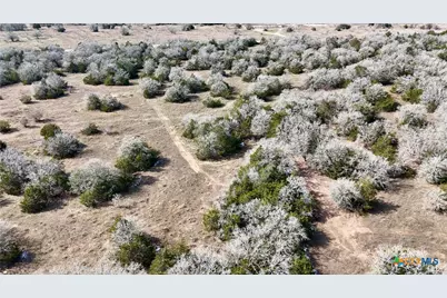 1485 Davis Road, Flatonia, TX 78949 - Photo 27