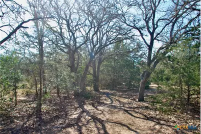 1485 Davis Road, Flatonia, TX 78949 - Photo 7