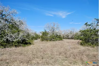 1485 Davis Road, Flatonia, TX 78949 - Photo 13
