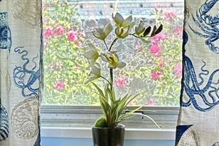 302 E Dallas Ave, Seadrift, TX 77983 - Photo 21