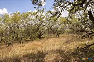 211 Halm Rd, Seguin, TX 78155 - Photo 11