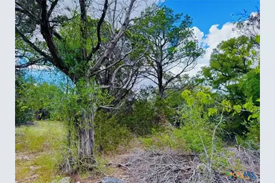 2850 County Road 213, Jonesboro, TX 76538 - Photo 31