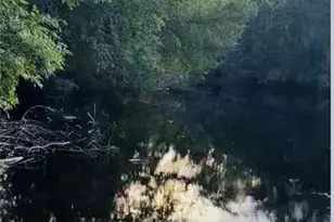 2850 Co Rd 213, Jonesboro, TX 76538 - Photo 11