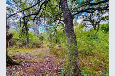 2850 County Road 213, Jonesboro, TX 76538 - Photo 33