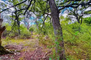 2850 Co Rd 213, Jonesboro, TX 76538 - Photo 33