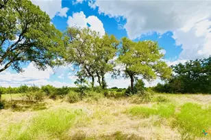 2850 Co Rd 213, Jonesboro, TX 76538 - Photo 29