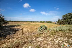23383 Mathis Rd, Elmendorf, TX 78112 - Photo 21