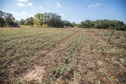 23383 Mathis Road, Elmendorf, TX 78112 - Photo 35
