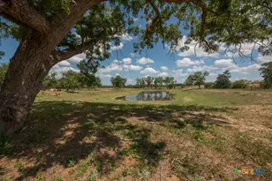 6887 Von Ormy Rd, Von Ormy, TX 78073 - Photo 45