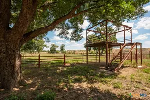 6887 Von Ormy Rd, Von Ormy, TX 78073 - Photo 43