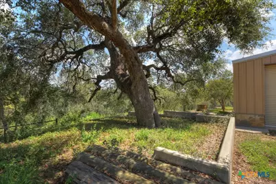 6887 Von Ormy Road, Von Ormy, TX 78073 - Photo 37