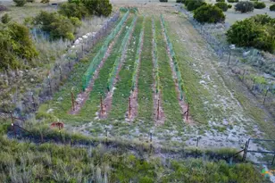 15049 Ranch Rd 101, Kempner, TX 76539 - Photo 15