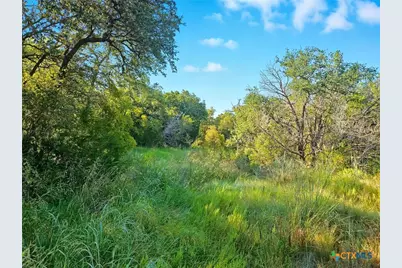 2977 Fm 1241, Purmela, TX 76566 - Photo 27