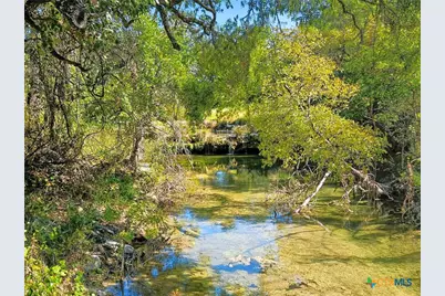 2977 Fm 1241, Purmela, TX 76566 - Photo 45