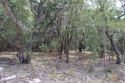 151 Eden Ranch Drive, Canyon Lake, TX 78133 - Photo 3