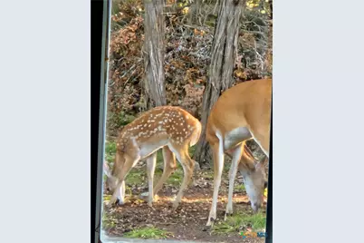 151 Eden Ranch Drive, Canyon Lake, TX 78133 - Photo 11