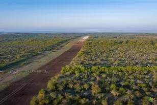 8440 State Hwy 239, Goliad, TX 77963 - Photo 17