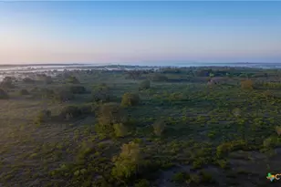 8440 State Hwy 239, Goliad, TX 77963 - Photo 11