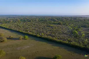 8440 State Hwy 239, Goliad, TX 77963 - Photo 23