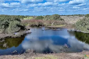 8440 State Hwy 239, Goliad, TX 77963 - Photo 27