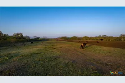 8440 State Highway 239, Goliad, TX 77963 - Photo 9