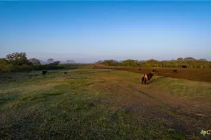 8440 State Hwy 239, Goliad, TX 77963 - Photo 9