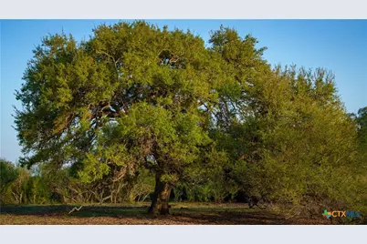 8440 State Highway 239, Goliad, TX 77963 - Photo 19