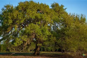 8440 State Hwy 239, Goliad, TX 77963 - Photo 19