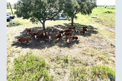 000-C Juan Antonio Road, Victoria, TX 77904 - Photo 7