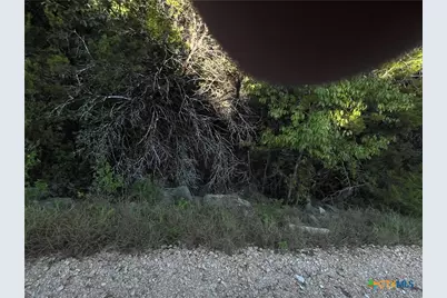 1331 Moerike Road, Canyon Lake, TX 78133 - Photo 5