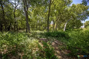 215 Poppy St, San Antonio, TX 78203 - Photo 3